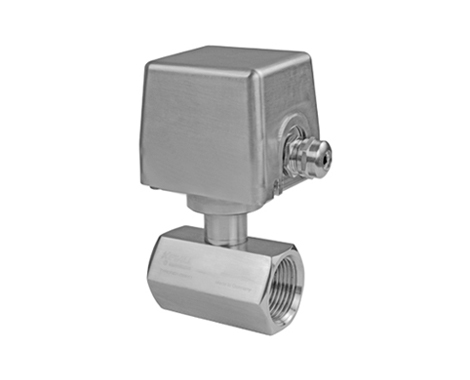 FB31 Series Shutter Type Flow Switch